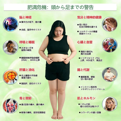 ✅✅ 公式旗艦店 /DR. Fachmer®＆NAD+ 10-in-1 ナノ強化フォーミュラ — 肥満、肌のたるみ、糖尿病、睡眠時無呼吸症候群、関節の悩み、その他健康上の懸念にアプローチ🌟
